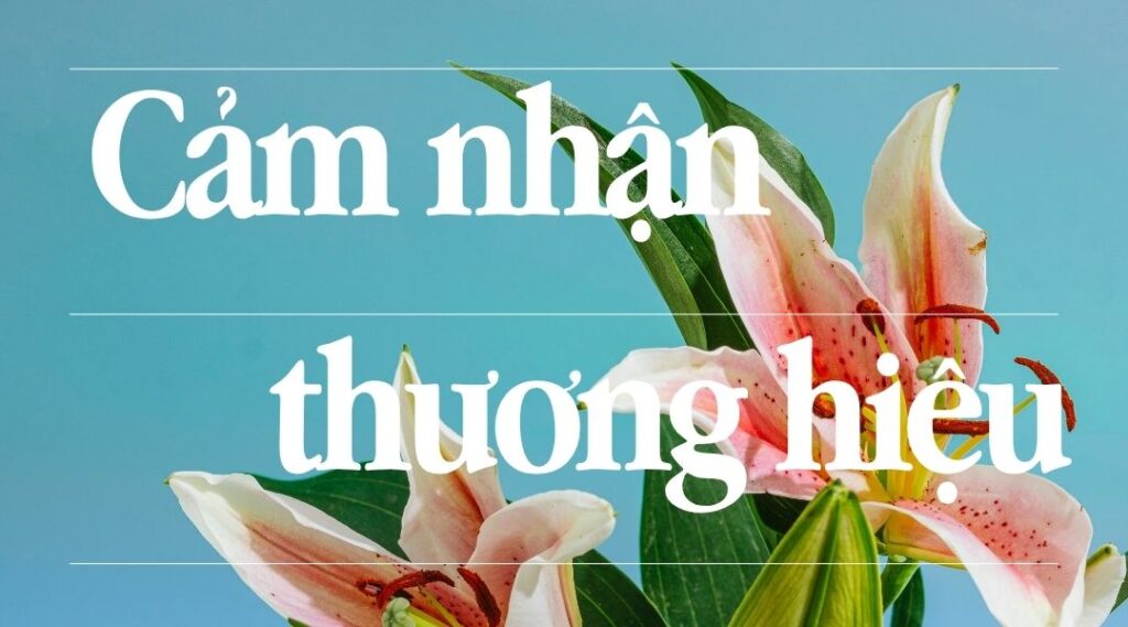 Hình ảnh cảm nhận thương hiệu với hoa lily và phông nền xanh nhẹ