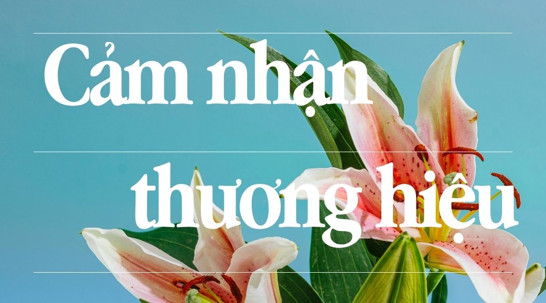 Hình ảnh cảm nhận thương hiệu với hoa lily và phông nền xanh nhẹ