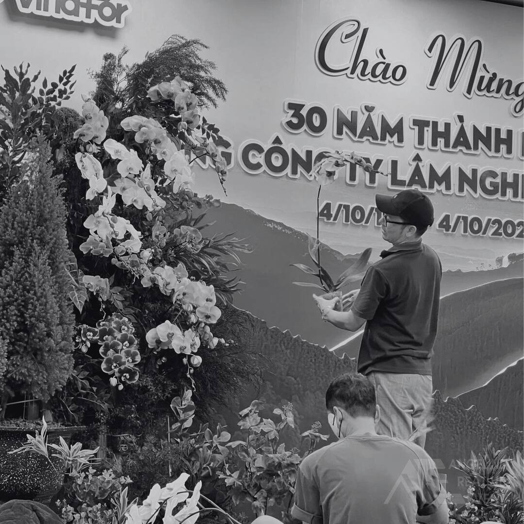 Thi công tại Vinafor