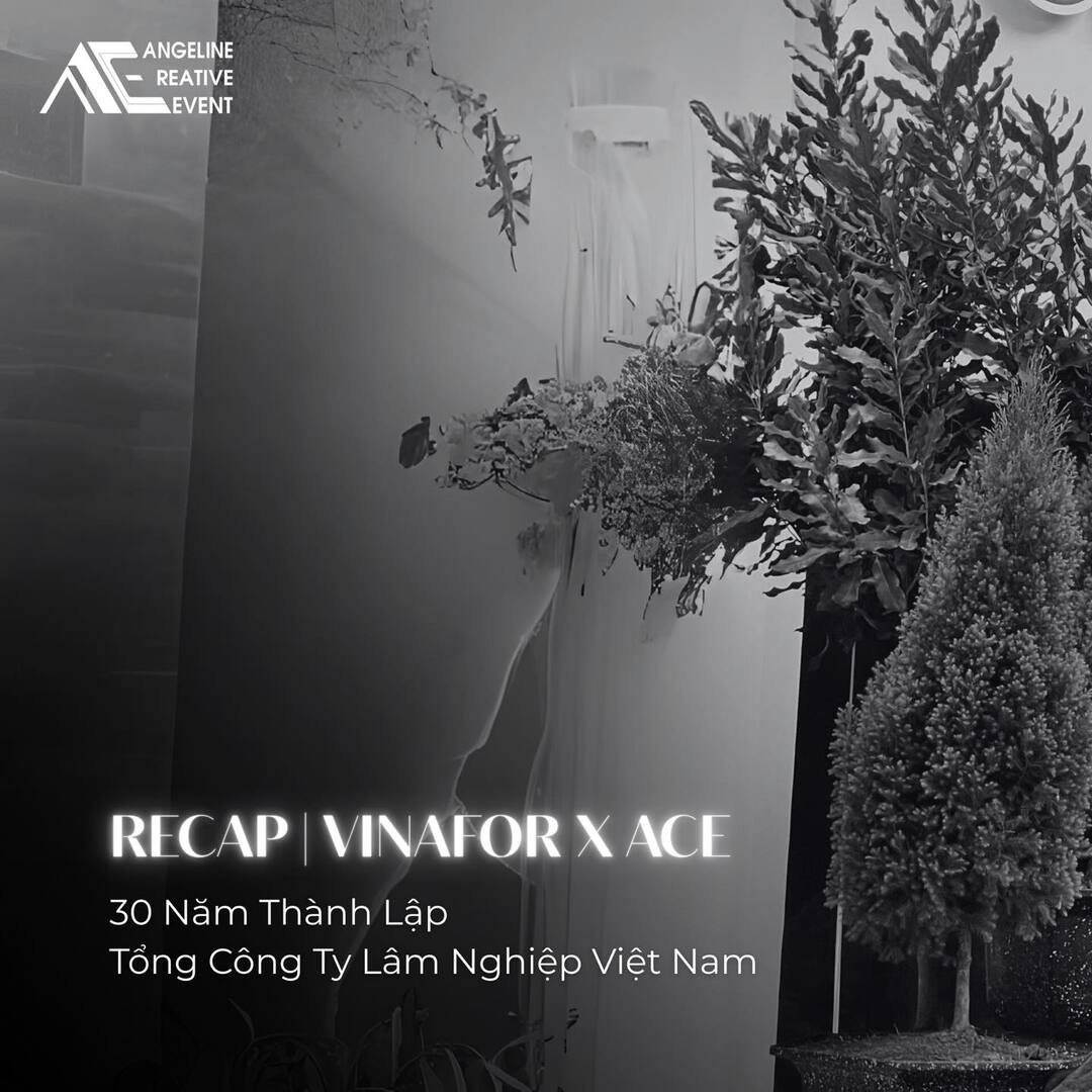 Thi công tại Vinafor